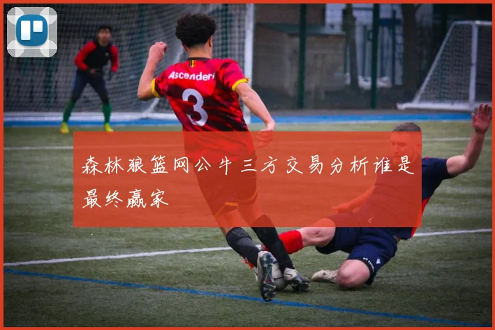 森林狼篮网公牛三方交易分析谁是最终赢家