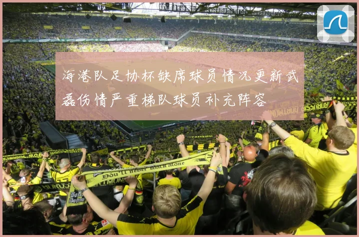 海港队足协杯缺席球员情况更新武磊伤情严重梯队球员补充阵容