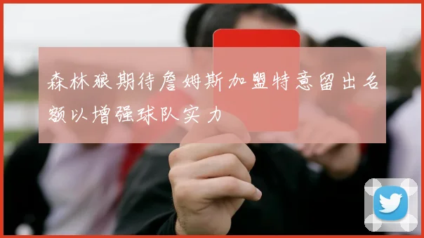森林狼期待詹姆斯加盟特意留出名额以增强球队实力