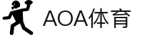 AOA体育app官网 (官方)手机APP下载IOS/安卓